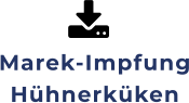 Marek-ImpfungHühnerküken