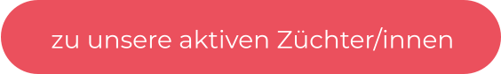 zu unsere aktiven Züchter/innen