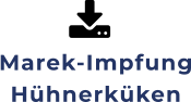 Marek-ImpfungHühnerküken